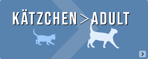 Mein Kätzchen wird erwachsen, Zeit für einen preiswerten Wechsel